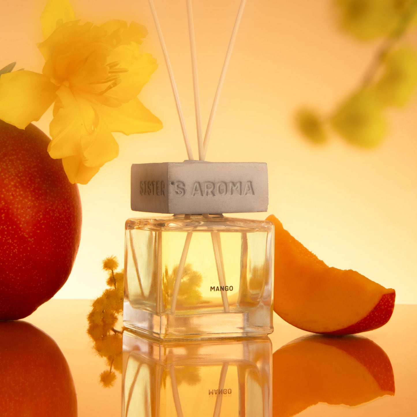 Fragrance for Home | Mango - 110 ml