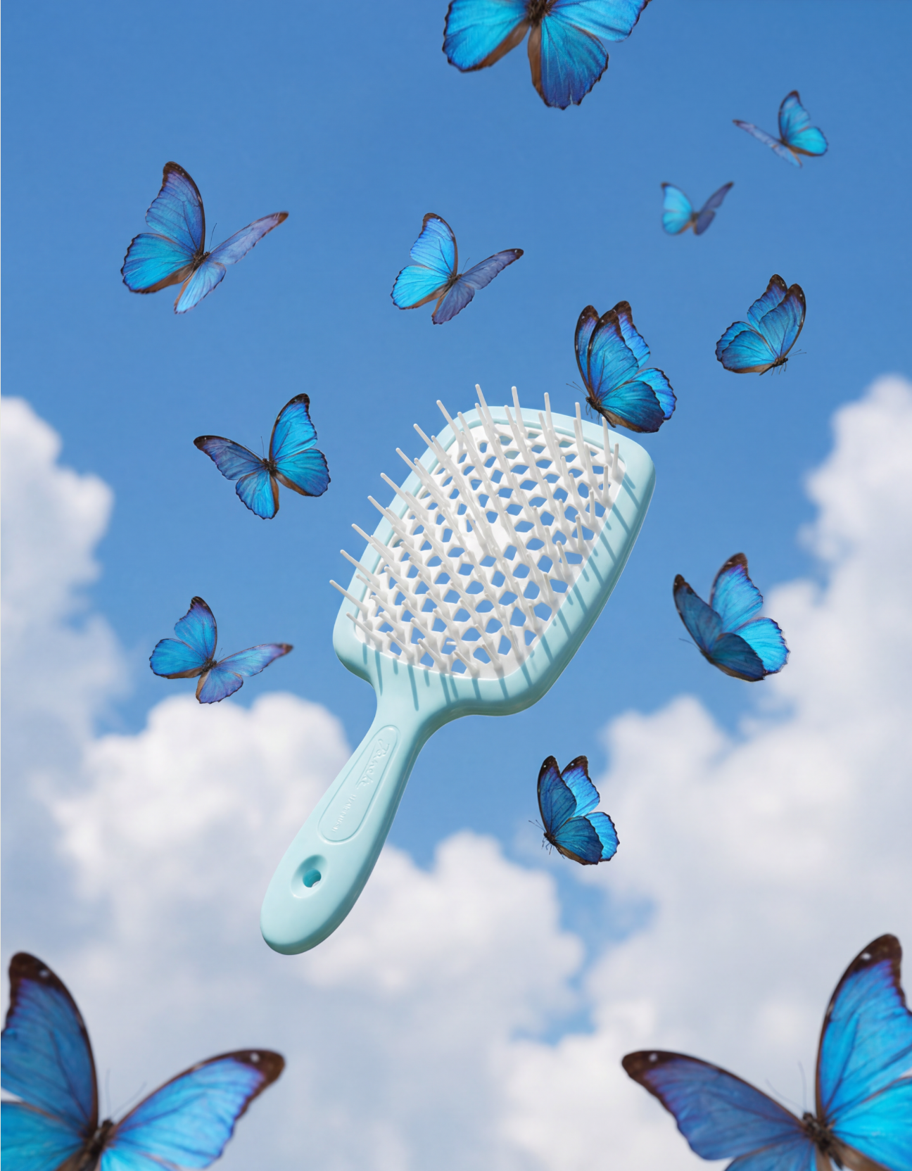 Jäneke Italian Superbrush Small (TURQUOISE )